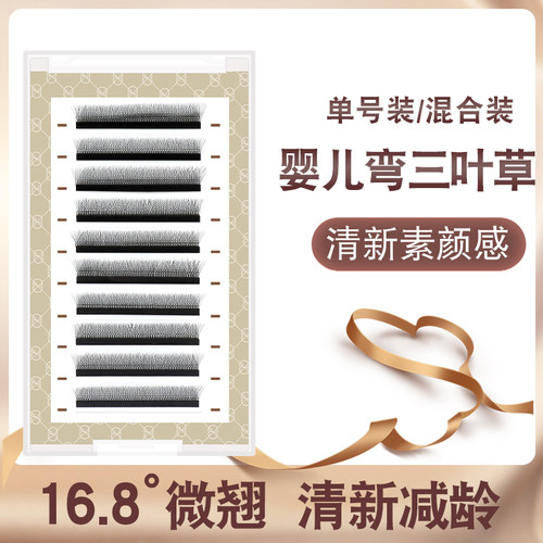 吉黛儿婴儿弯三叶草睫毛开花