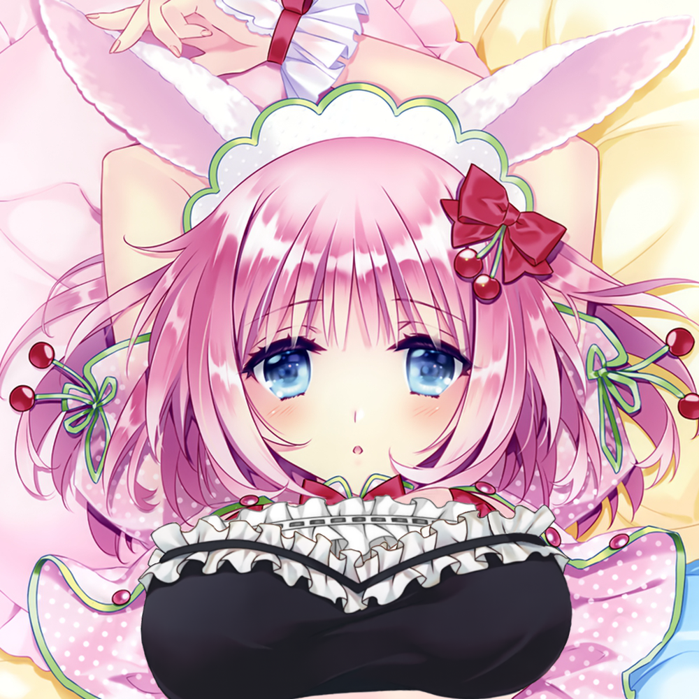 ws511 carnelian 动漫等身抱枕套动漫周边等人双面