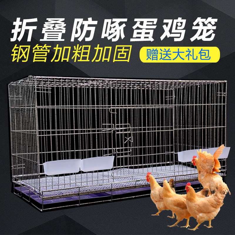 家用自动滚蛋特大号鸡笼鸡舍鸡笼子养殖笼运输加粗鸭笼鹅笼鹌鹑笼