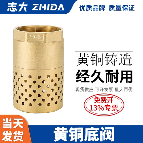 ZHIDA黄铜底阀水井/水泵止回阀