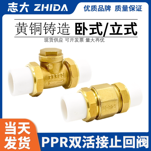 志大PPR止回阀全铜加厚