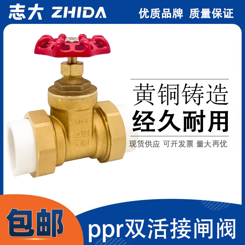 志大双活接闸阀ppr接口铜体