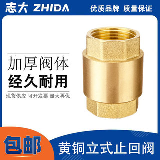 全铜立式止回阀 4/6分1寸 卧式逆止阀内丝水管道水表热水器单向阀