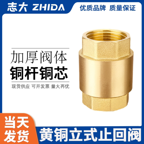 全铜立式志大铜阀门止回阀
