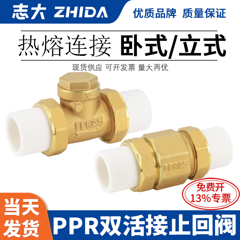 PPR双活接止回阀铜卧式立式热熔单向阀逆止自来水管表4/6分DN2025