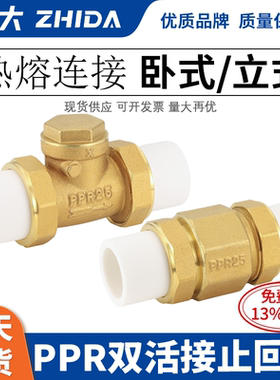 志大PPR止回阀全铜加厚