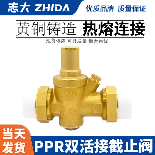 志大ppr减压阀全铜双活接