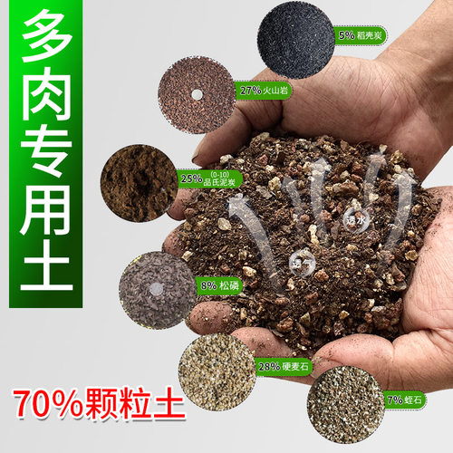 颗粒多肉土专用土透气透水