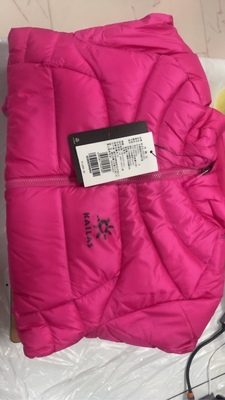 凯乐石常规保暖男士鹅绒羽绒服