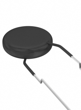 PTCTL8NR100HBE | PTCTT95R100GTE | PTGL04AS100K2N51B0