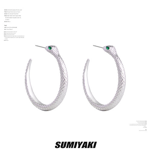SUMIYAKI高级感c圈灵蛇耳环