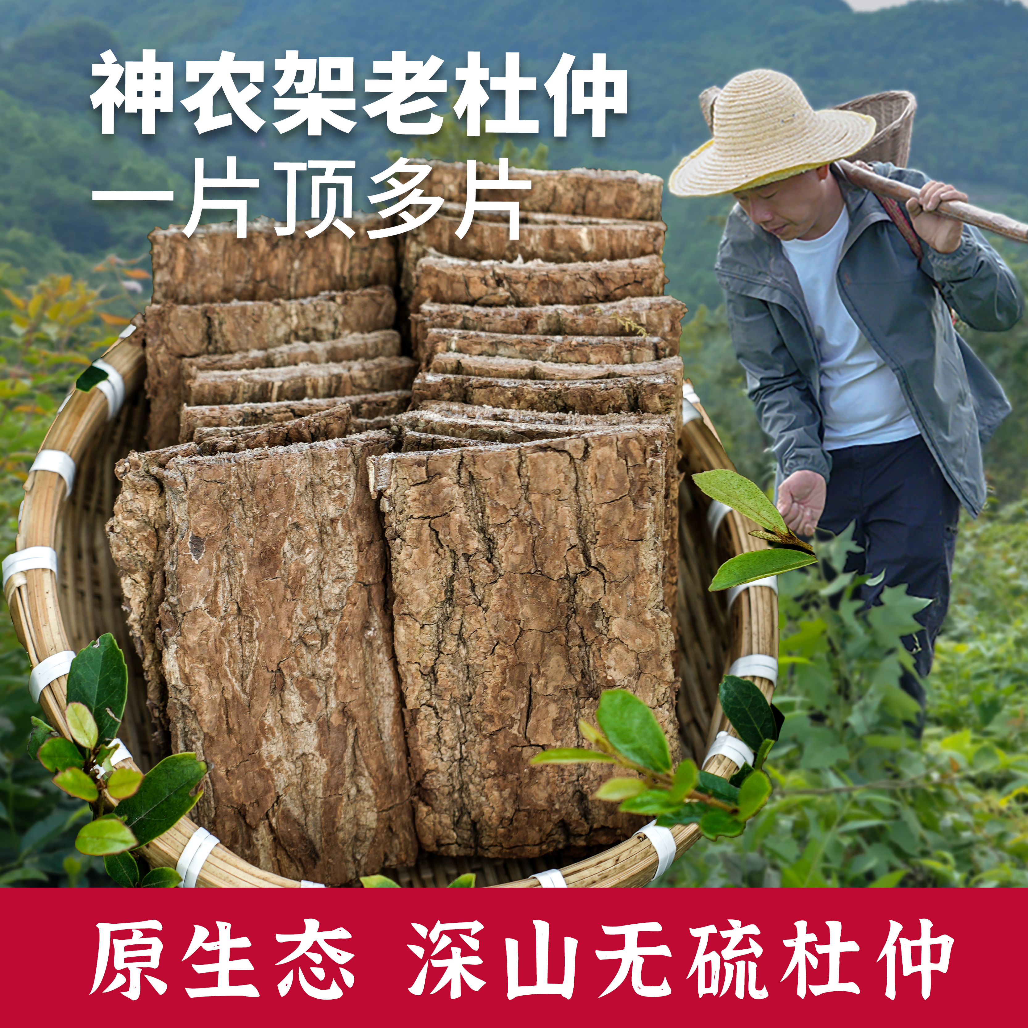 杨直二深山杜仲药材正品特级杜仲