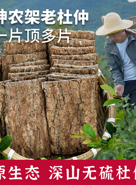 杨直二深山杜仲药材正品250g树皮厚片可搭配肉苁蓉泡酒药用