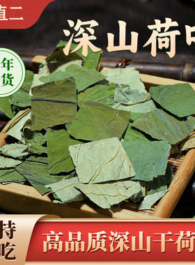 杨直二荷叶野荷叶中药材干货