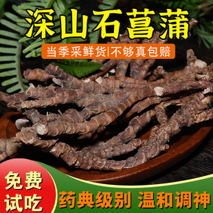 杨直二深山石菖蒲250g中药材远志粉石昌蒲茶正品官方旗舰店