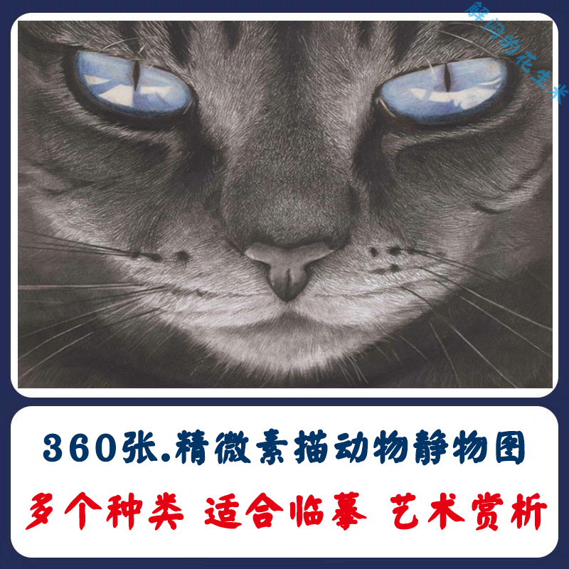 美术精微素描高清图片静物动物彩铅笔精画写实临摹