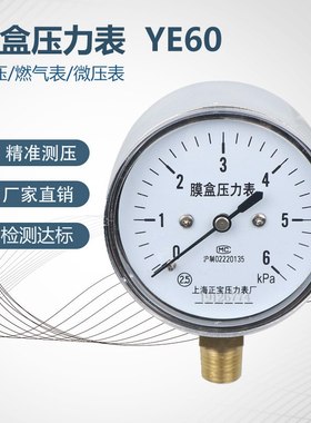 YE60 0-100KPA膜合压力表/低压表/膜盒压力表/燃气表/千帕微压表