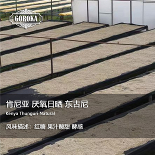 【果卡】肯尼亚 厌氧日晒 东古尼 手冲单品咖啡豆