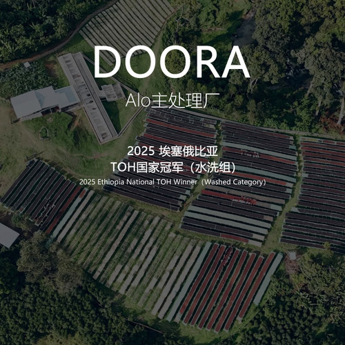 埃塞DooraAlo主站2025TOH冠军