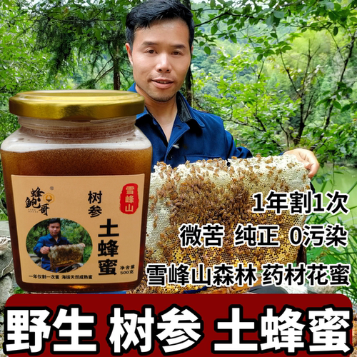 天然树参蜜鸭脚木蜜土蜂蜜蜂鲍哥