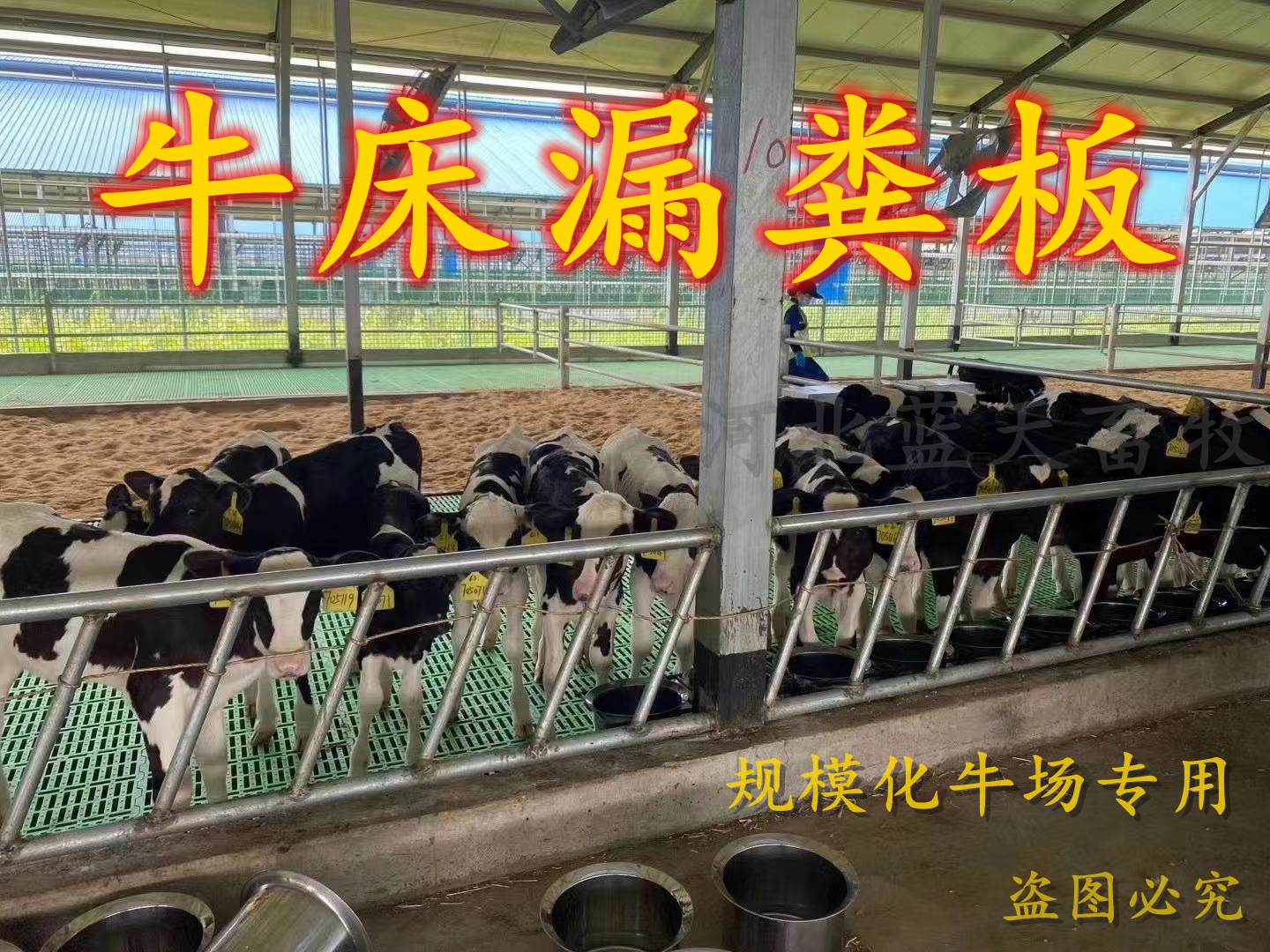 犊牛漏粪板牛床牛用漏粪板暖棚牛圈小牛保温养牛用品规模化牛场包