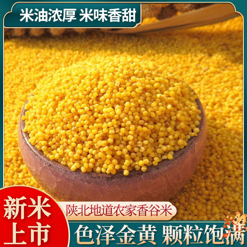 陕北黄小米香糯粘稠米油厚