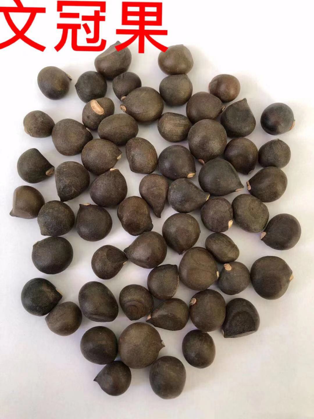 中药材 正品文冠果500克包邮 文冠花 文官果 文光果
