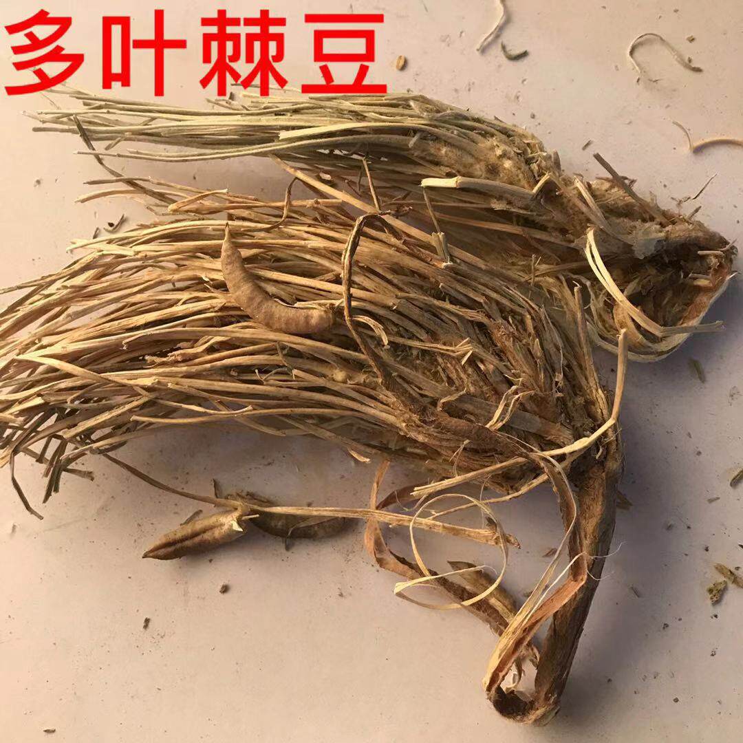 多叶棘豆 鸡翔草 长肉芽草 狐尾藻棘豆 正品蒙药中药材250克包邮