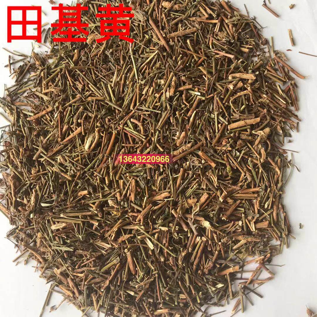 中药材田基黄 500克包邮 地耳草 斑鸠窝 雀舌草 黄花草七寸金
