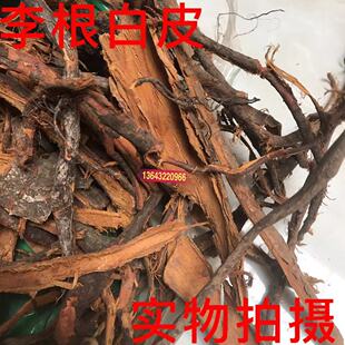 中药材李根皮500克包邮 甘李根白皮 李根皮 新货无硫