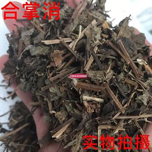 中药材合掌消 神仙对坐草250克22元包邮