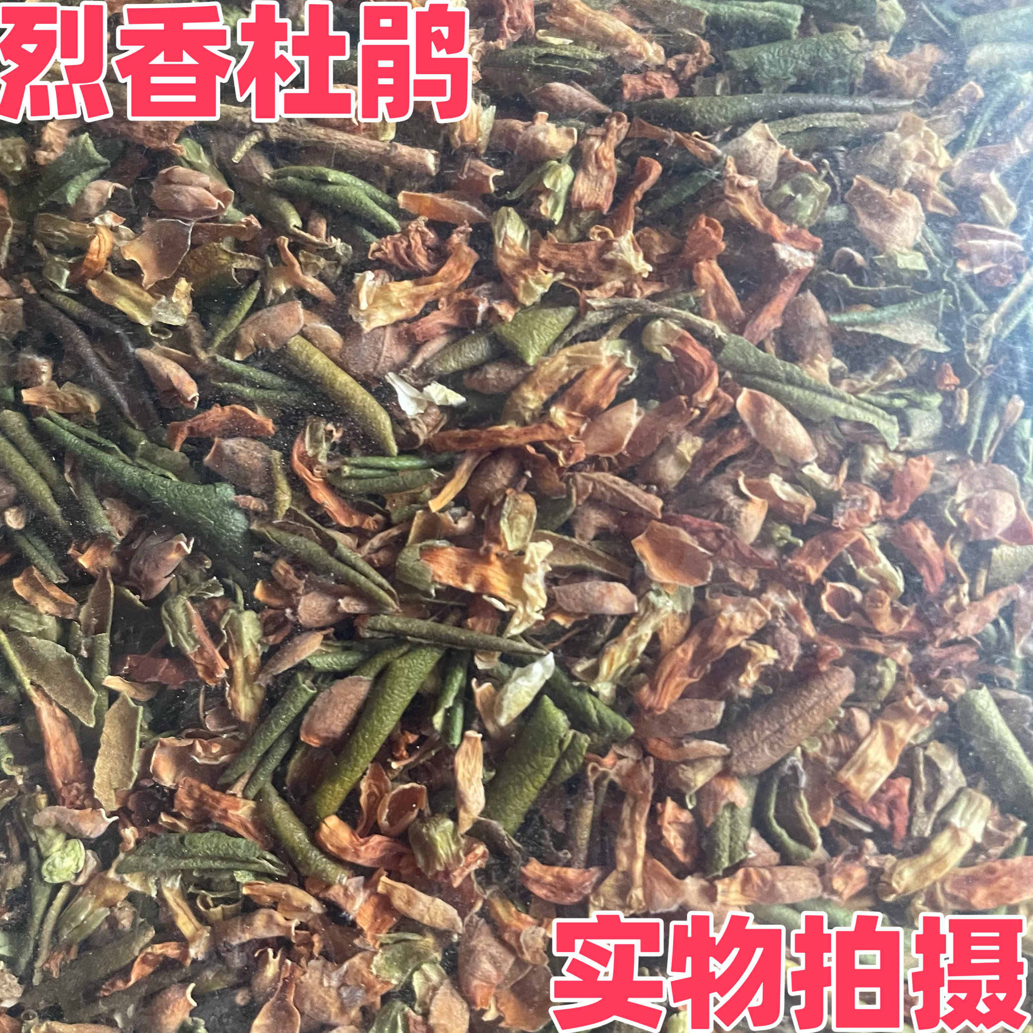 烈香杜鹃 中药材西藏野生 烈香