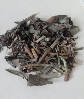 中草药材冷背兔儿伞 七里麻 一把伞 南天扇、伞把草500克