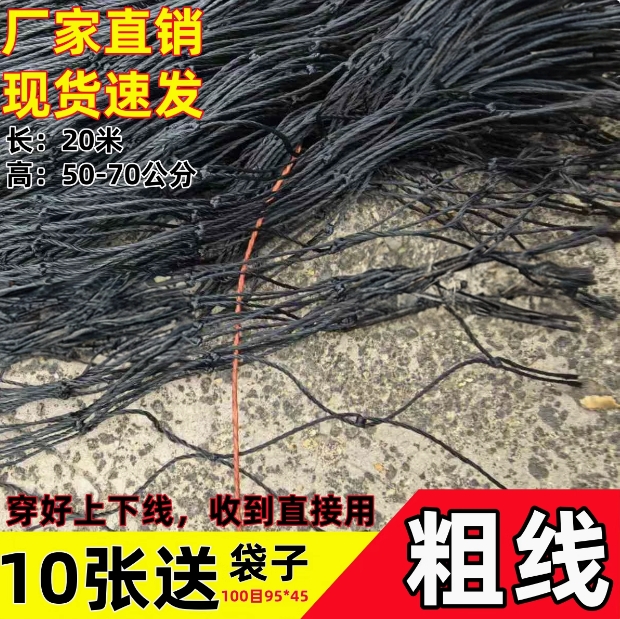 加粗耐用尼龙网防蛇耐高温黑色网黑色线网尼龙线菜地围栏网养渔网