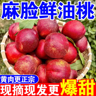 正宗黄心油桃麻脸油桃新鲜现摘当季脆甜黄肉蜜桃3/5斤