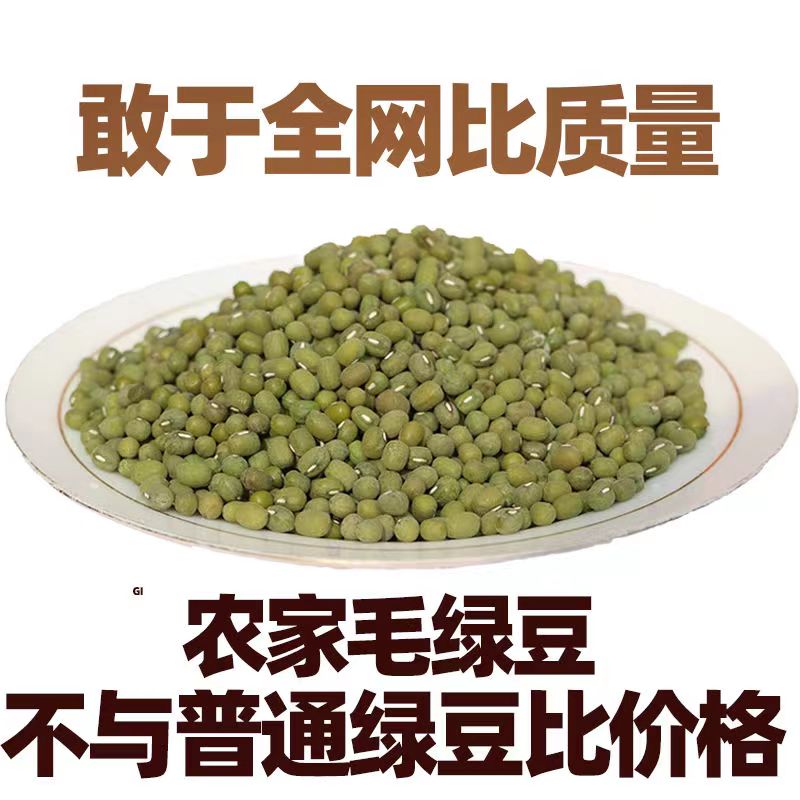山东农家老品种毛绿豆非转基因笨绿豆生绿豆芽做豆沙煮粥1/3/5斤