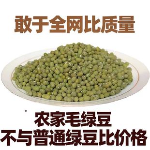 山东农家老品种毛绿豆非转基因笨绿豆生绿豆芽做豆沙煮粥1 5斤