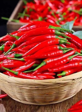 【新鲜小米辣】云南特辣朝天椒小辣椒爆辣红辣椒250克1斤3斤5斤