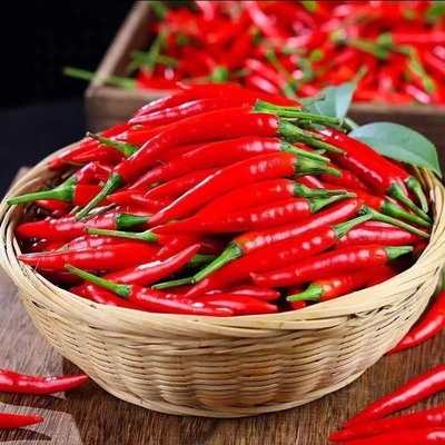 云南新鲜特辣朝天椒小米辣