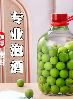 青梅泡酒瓶专用玻璃瓶加厚葡萄酒瓶子容器自酿泡酒罐密封提手瓶子