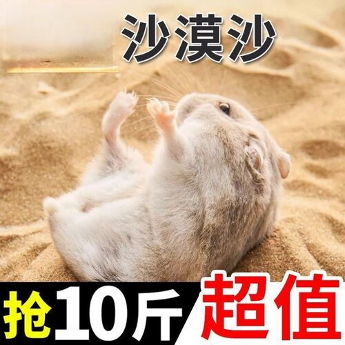 现采现发高温处理沙漠细沙爬宠浴