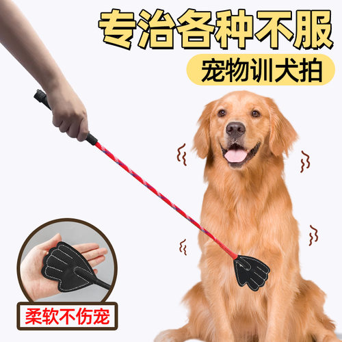 柔软不伤宠训犬拍训练器