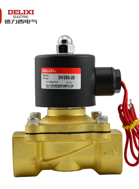 德力西2W025/40/160/200全铜电磁阀 US/2S常闭水阀气阀 AC220V