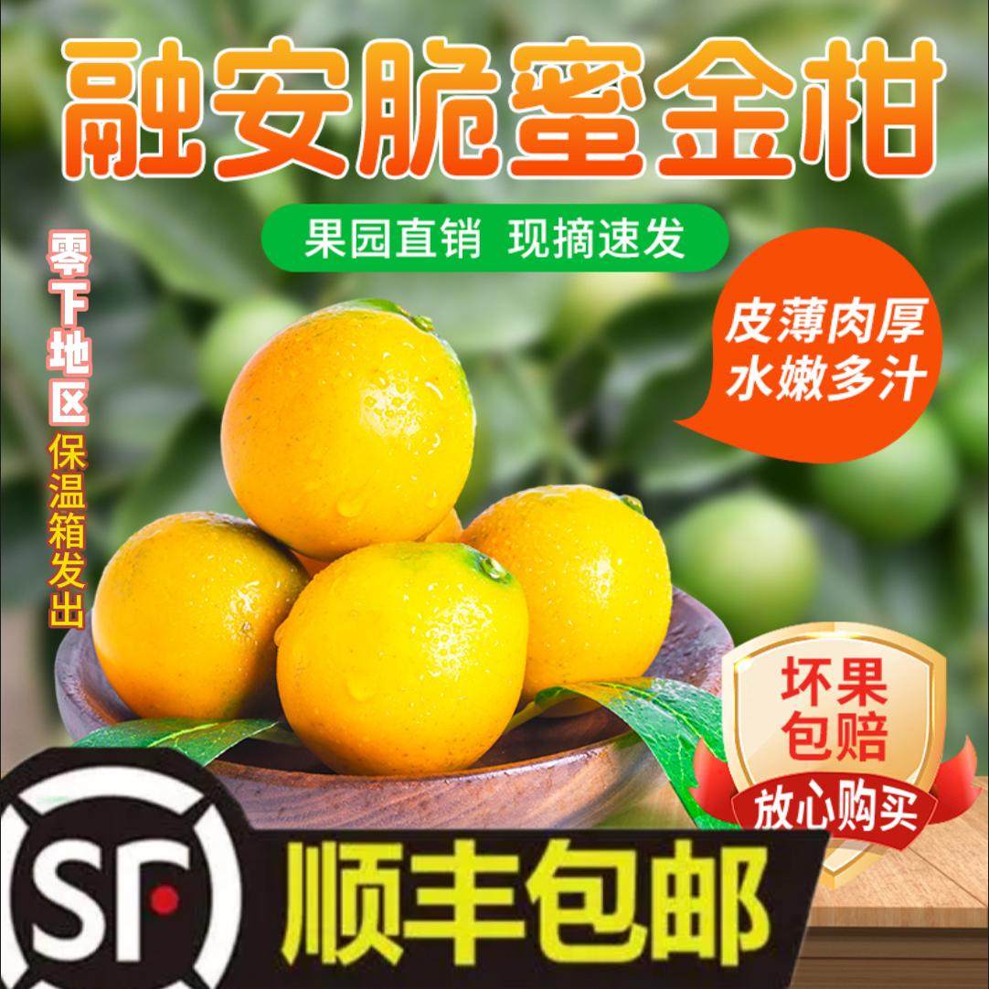 广西融安脆蜜新鲜现摘鲜果纯甜孕妇水果无籽金柑橘子顺丰礼盒装,水产肉类/新鲜蔬果/熟食,桔子,淘宝优惠券,粉丝福利购,淘宝优惠卷