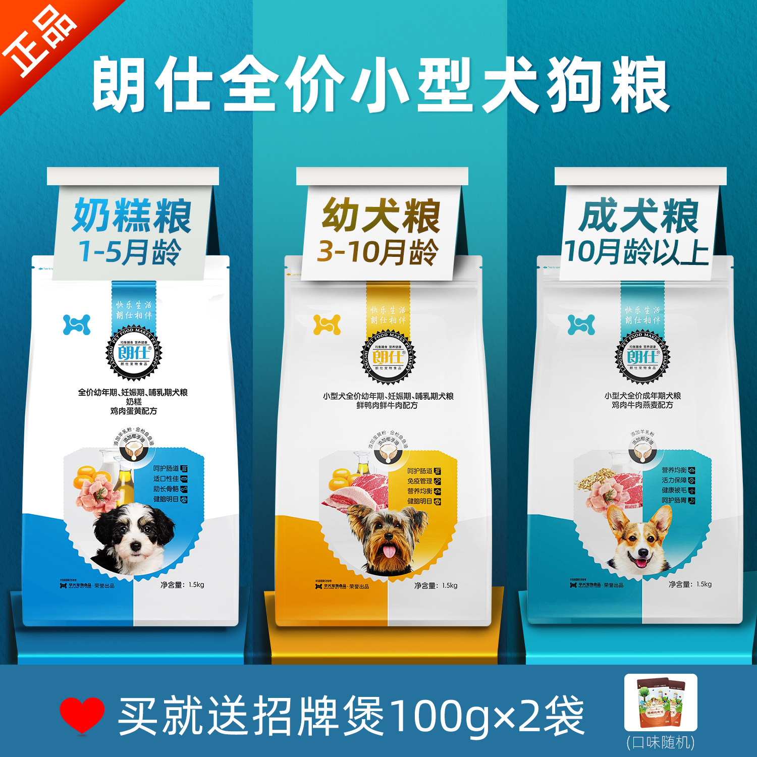 朗仕美毛比熊雪纳瑞柯基成犬粮图片