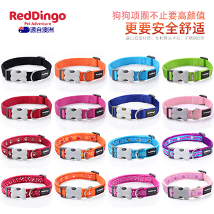 Reddingo狗狗项圈 宠物狗脖 瑞鼎狗 泰迪金毛比熊萨摩小中大型犬