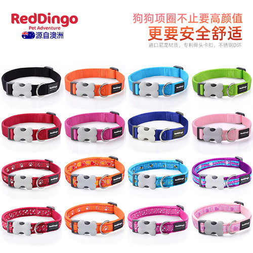 瑞狗狗泰圈瑞鼎萨摩迪金毛毛比熊