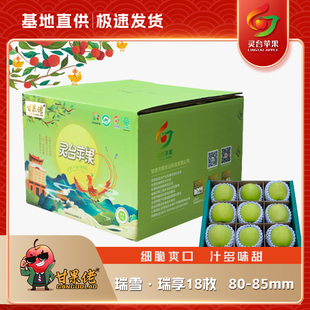 甘果佬瑞雪苹果瑞享装18枚80-85mm齐翔果园顺丰包邮甘肃灵台特产