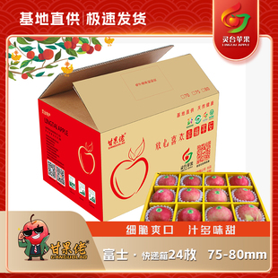 红富士苹果 75-80mm 24枚快递装 甘果佬苹果 灵台苹果 顺丰包邮
