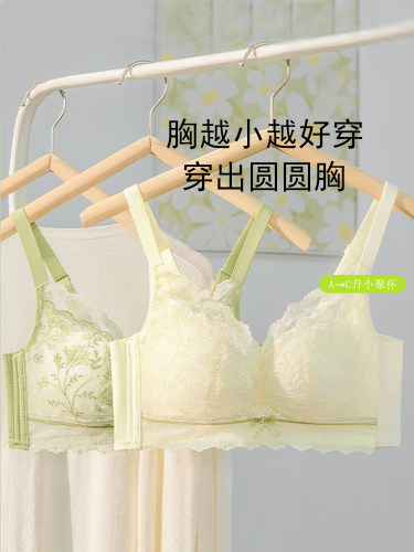 性感蕾丝内衣女小胸聚拢平胸专用